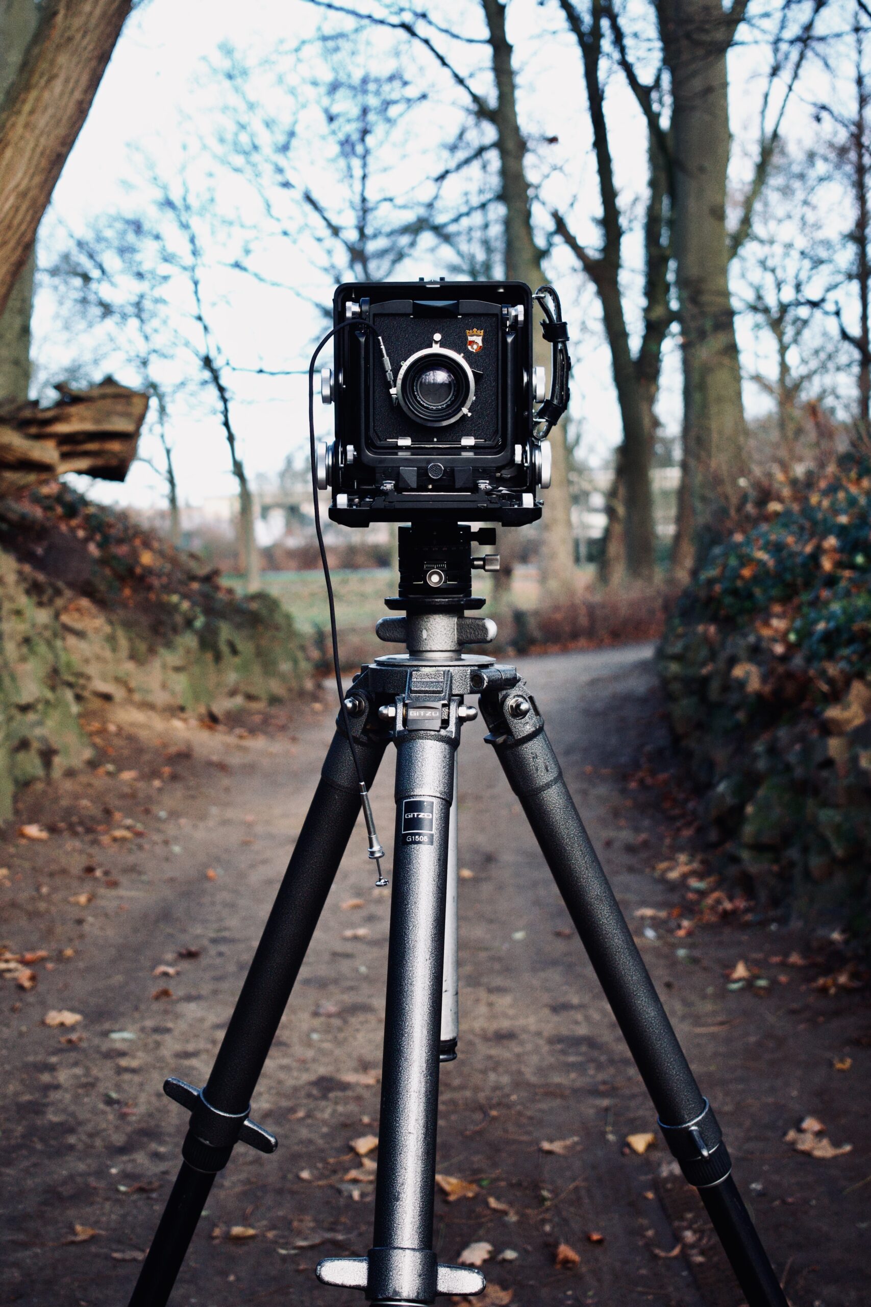 donkere kamer werk, analoge afdrukken